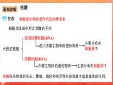 人教版选择性必修3化学4.3《核酸》课件