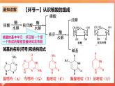 人教版选择性必修3化学4.3《核酸》课件