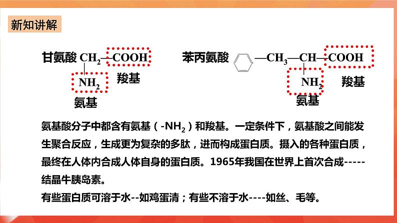 新人教版必修2化学7.4《基本营养物质》（第二课时）课件+教案05