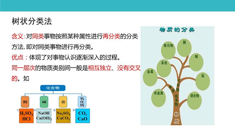 人教版必修一1.1《物质的分类及转化》课件03