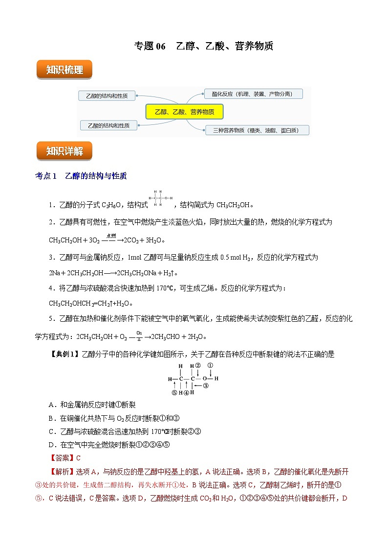 专题06  乙醇、乙酸、营养物质（知识串讲+专项练习）-2023-2024学年高一化学下学期期末考点大串讲（沪科版必修第二册）01