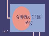 2019苏教版高中化学必修一专题4-4.2.1硫及其化合物的相互转化课件PPT