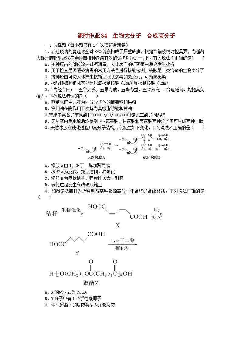 2024版新教材高考化学全程一轮总复习第九章有机化学基础第34讲生物大分子合成高分子（课件+课时作业+学生用书）（3份）01
