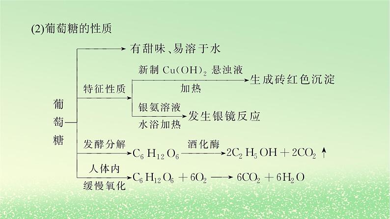 2024版新教材高考化学全程一轮总复习第九章有机化学基础第34讲生物大分子合成高分子（课件+课时作业+学生用书）（3份）06