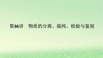 2024版新教材高考化学全程一轮总复习第十章化学实验基础第36讲物质的分离提纯检验与鉴别（课件+课时作业+学生用书）（3份）