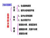 3.3.2 影响盐类水解的主要因素 盐类水解的应用课件PPT