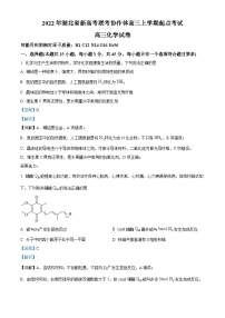 2023湖北省新高考联考协作体高三上学期起点考试化学试题含解析