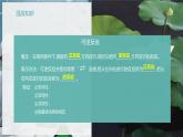 【苏教版】化学选择性必修1 《化学反应的方向与限度》2.2.2化学平衡状态  课件