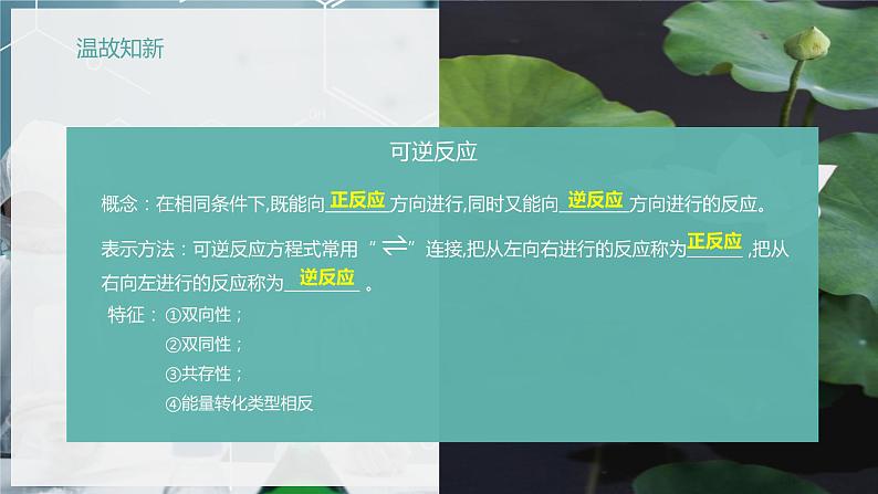 【苏教版】化学选择性必修1 《化学反应的方向与限度》2.2.2化学平衡状态  课件03