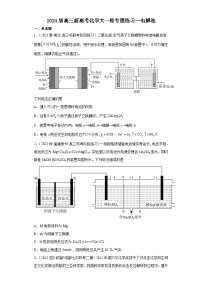 2024届高三新高考化学大一轮专题练习  电解池