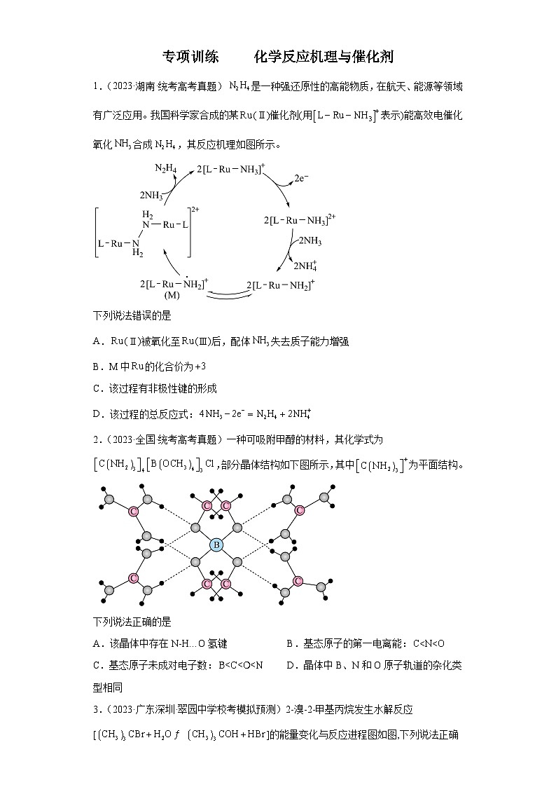 2024年高中化学一轮复习专项训练  化学反应机理与催化剂第1页