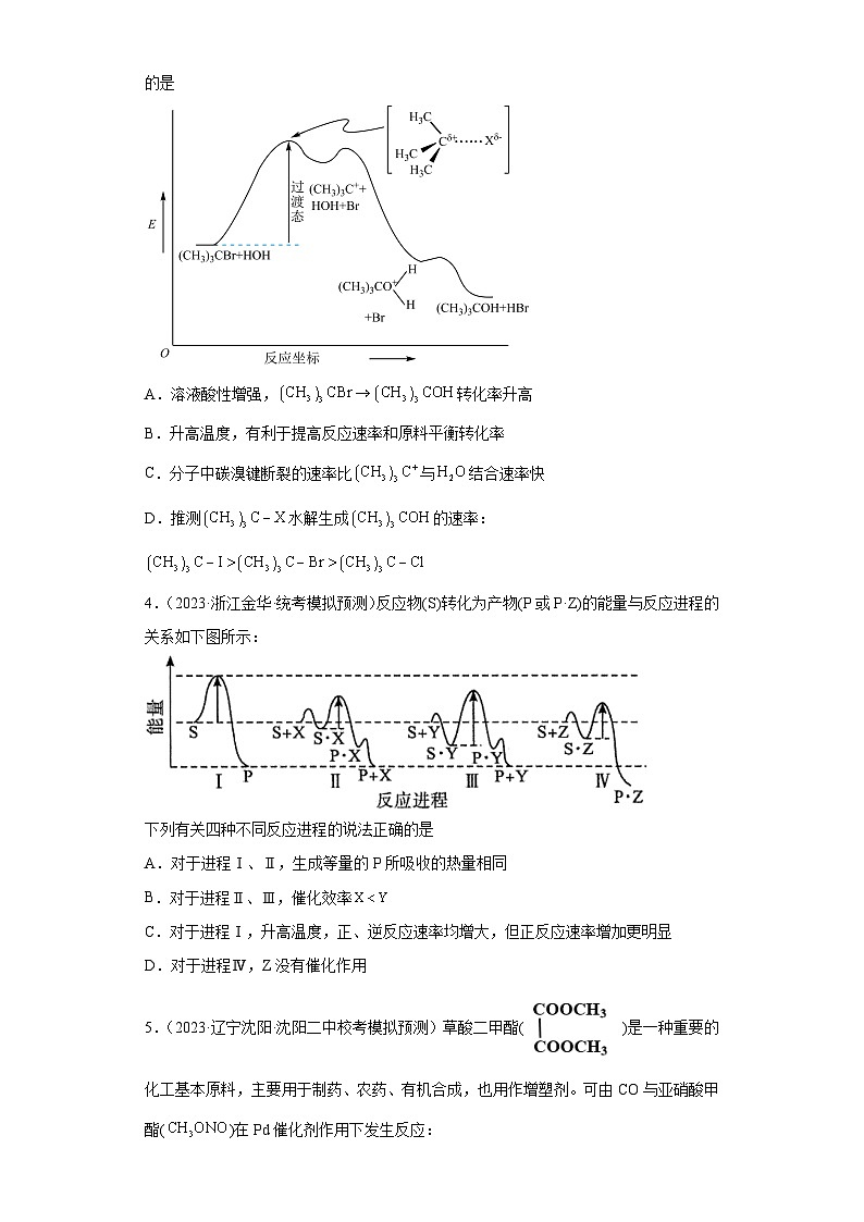2024年高中化学一轮复习专项训练  化学反应机理与催化剂第2页