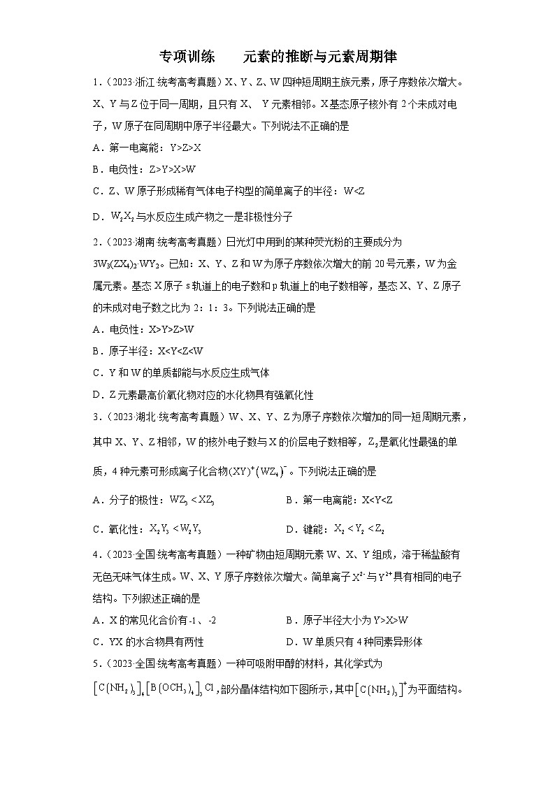 2024年高中化学一轮复习专项训练  元素的推断与元素周期律01