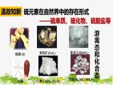 化学苏教版(2019)必修第一册 4.2.1含硫物质之间的转化课件