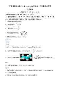 广东省湛江市第二中学2022-2023学年高一下学期期末考试化学试题（解析版）