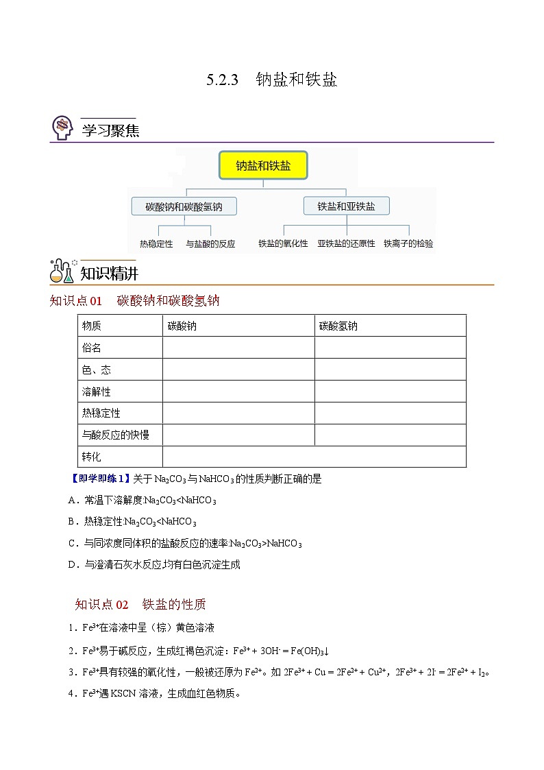 5.2.3  重要的金属化合物（第3课时）-2023-2024学年度高一化学同步精品讲义（沪科版必修第二册）01