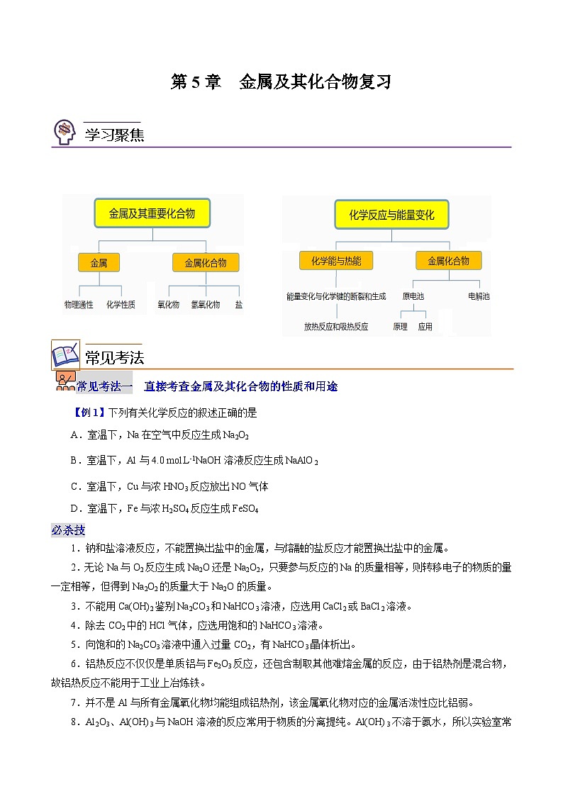 第5章  金属及其化合物（章末复习）（学生版）-高一化学同步精品讲义（沪科版必修第二册）第1页