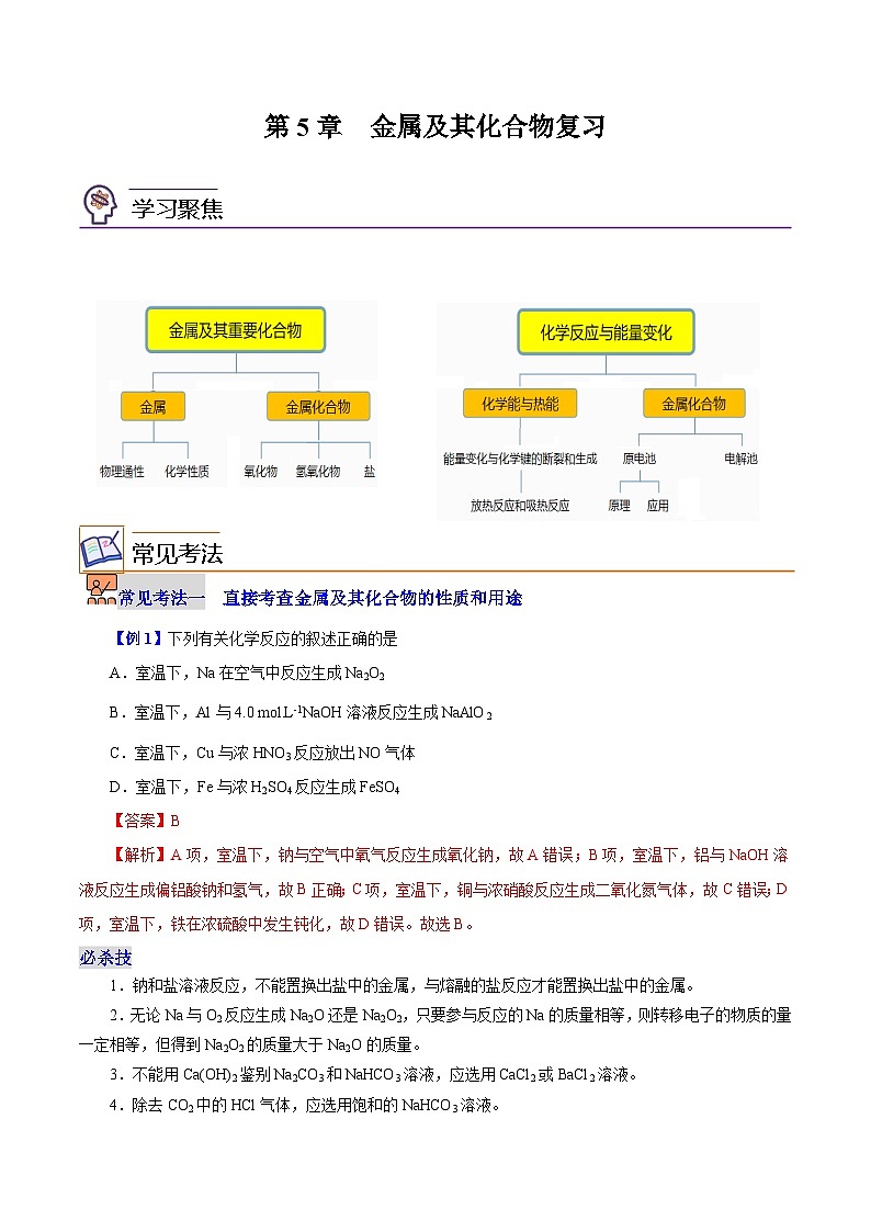 第5章  金属及其化合物（章末复习）（教师版）-高一化学同步精品讲义（沪科版必修第二册）第1页