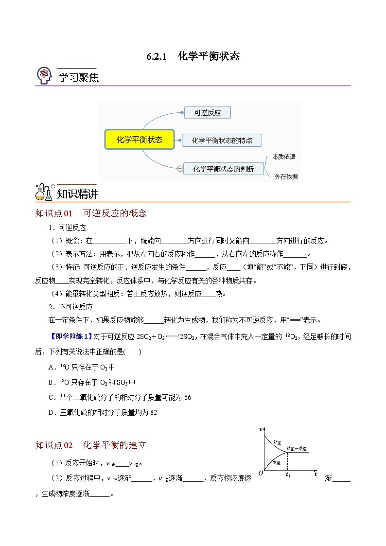 6.2.1  化学平衡（第1课时 可逆反应和化学平衡状态）-2023-2024学年度高一化学同步精品讲义（沪科版必修第二册）01