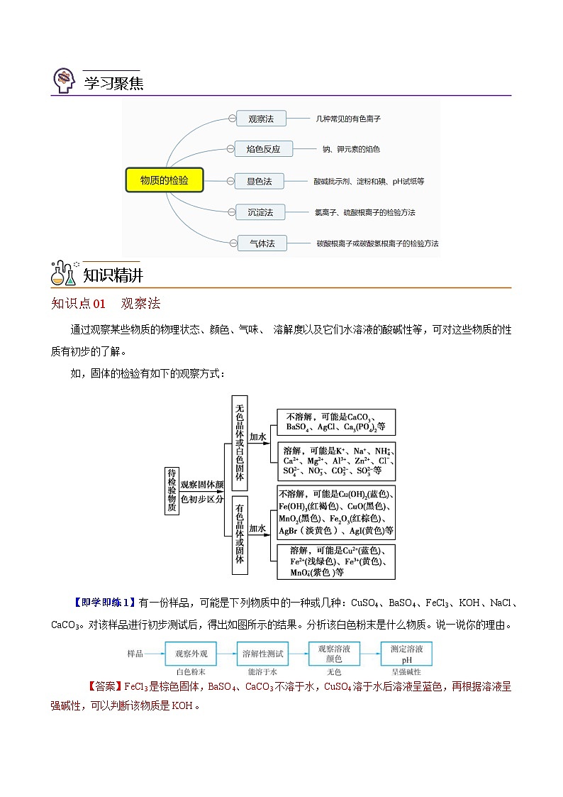 【同步讲义】高中化学（沪科版2020）必修第一册--1.3.4  物质的检验（教师版）第2页