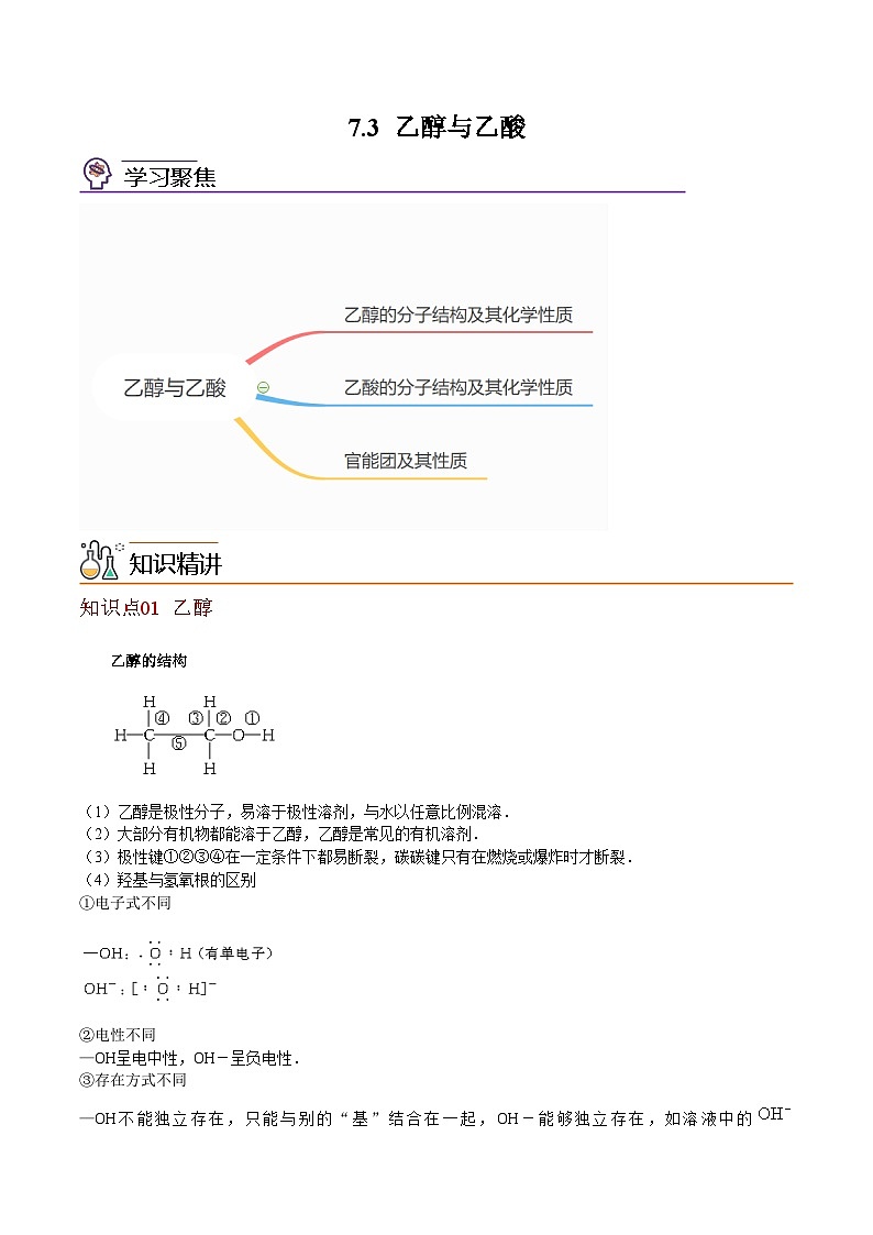 【同步讲义】高中化学（沪科版2020）必修第二册--7.3 乙醇与乙酸(教师版） 第1页