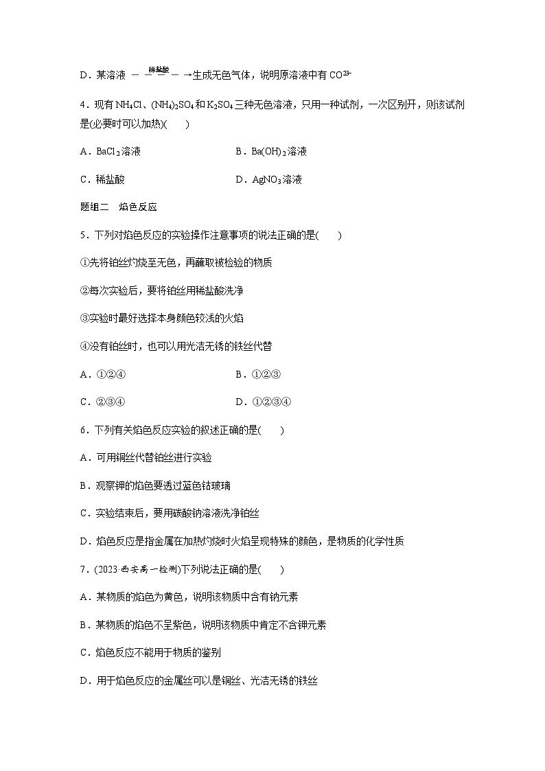 专题2 第一单元 第3课时　物质的检验　物质性质和变化的探究  课时练  （含答案）—2023-2024学年（苏教版2019）高中化学必修1第2页