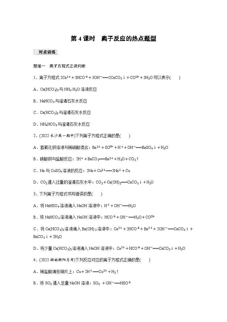专题3 第二单元 第4课时　离子反应的热点题型  课时练  （含答案）—2023-2024学年（苏教版2019）高中化学必修1第1页