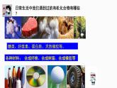 3.1.1認(rèn)識(shí)有機(jī)化合物課件  化學(xué)魯科版（2019）必修第二冊