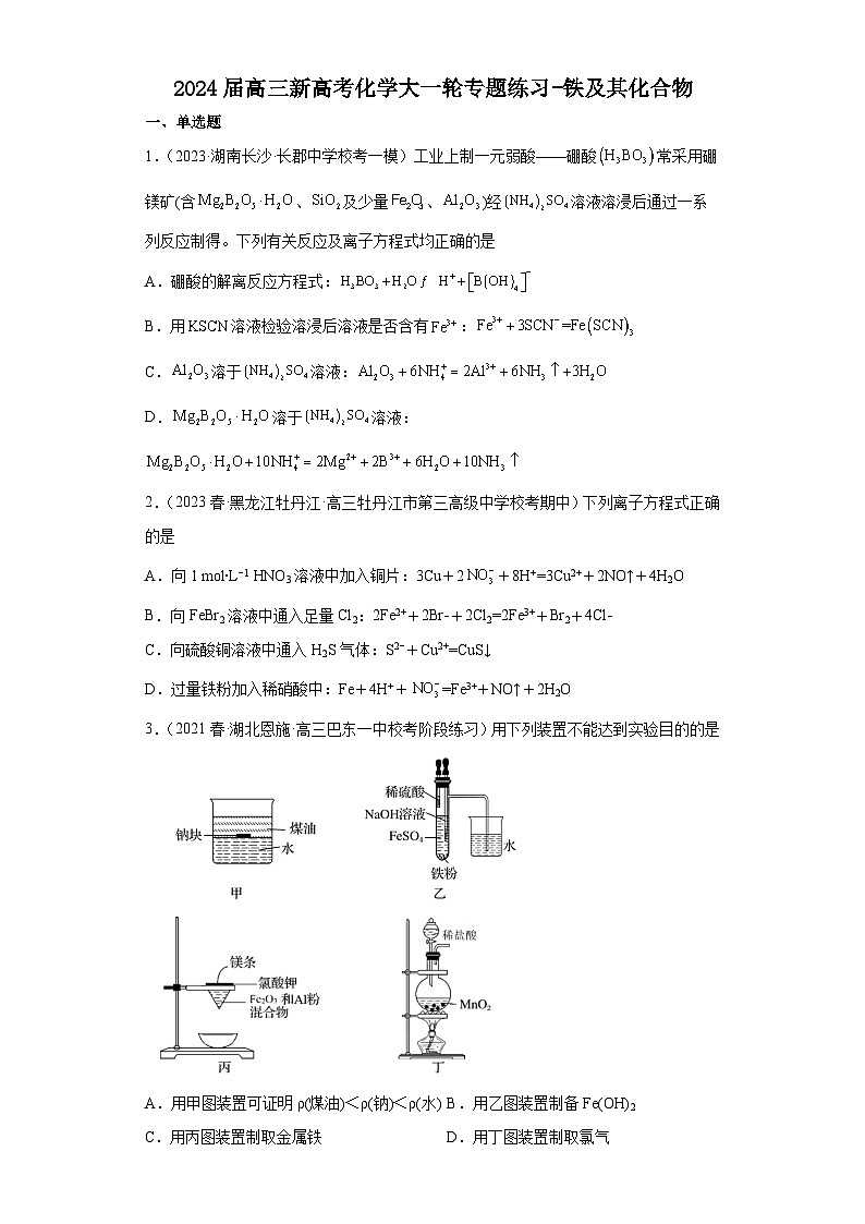 2024届高三新高考化学大一轮专题练习-铁及其化合物第1页