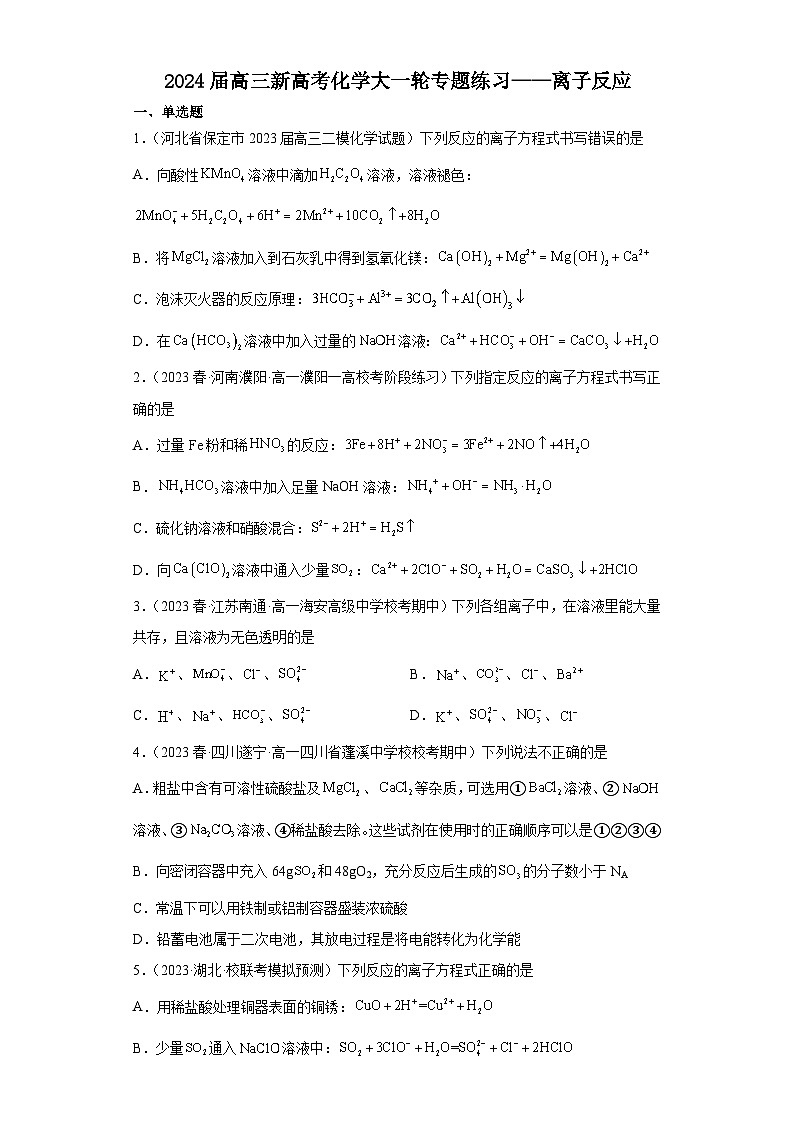2024届高三新高考化学大一轮专题练习  离子反应第1页