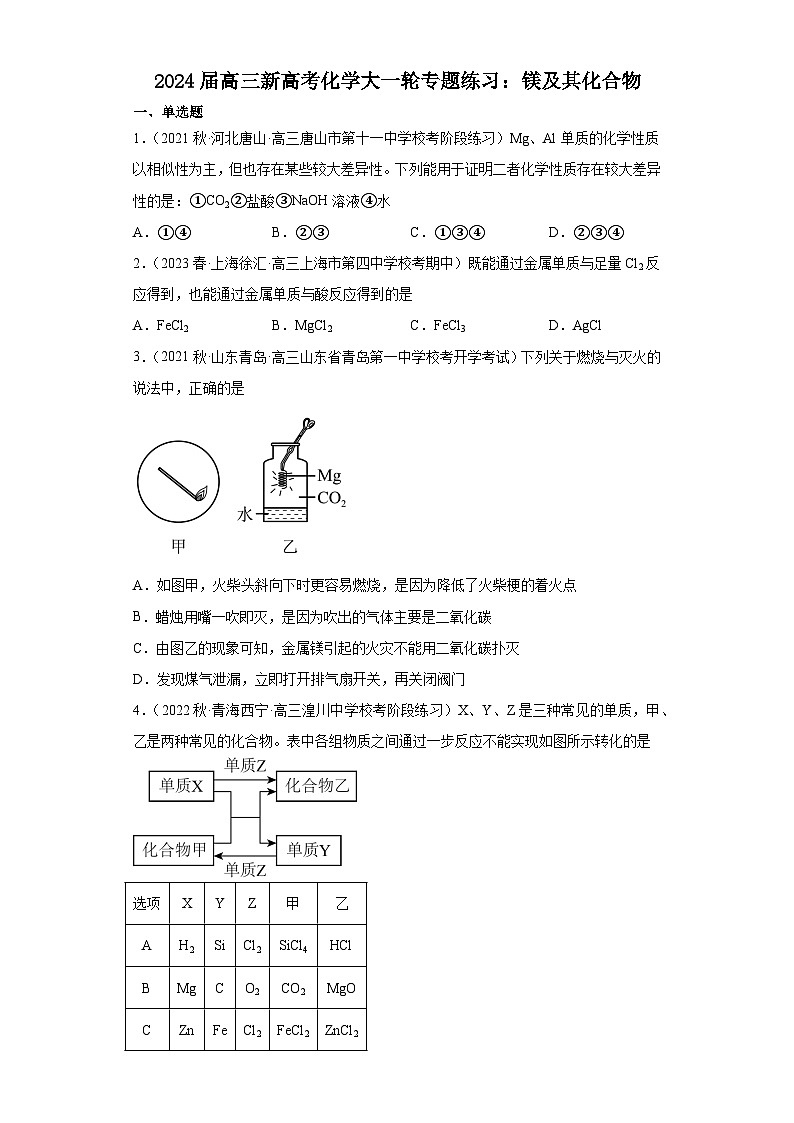 2024届高三新高考化学大一轮专题练习：镁及其化合物第1页