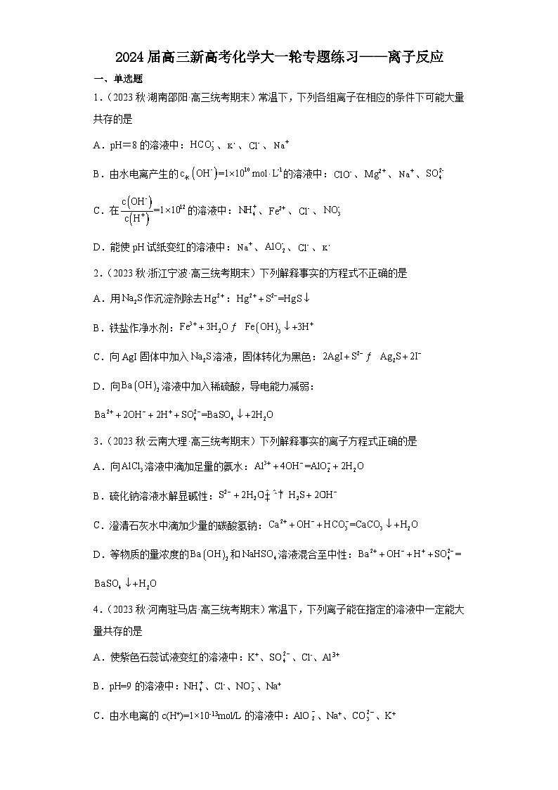 2024届高三新高考化学大一轮专题练习——离子反应第1页