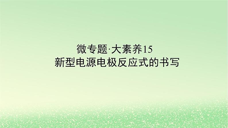 2024版新教材高考化学全程一轮总复习第六章化学反应与能量微专题大素养15新型电源电极反应式的书写课件01