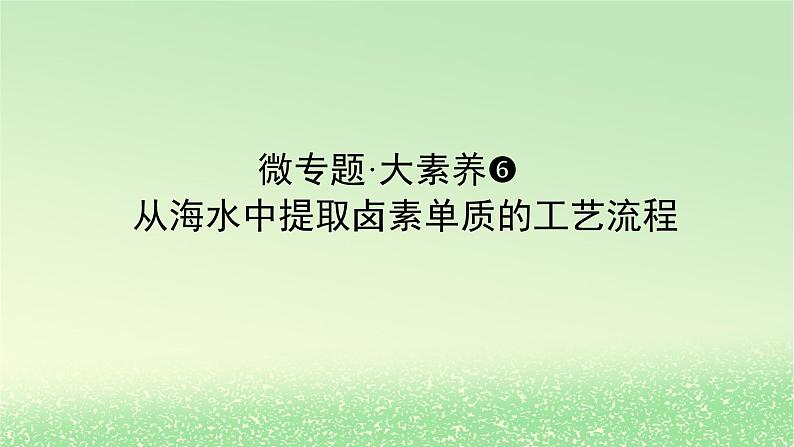 2024版新教材高考化学全程一轮总复习第四章非金属及其化合物微专题大素养6从海水中提取卤素单质的工艺流程课件第1页