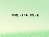 2024版新教材高考化学全程一轮总复习第四章非金属及其化合物微专题大素养9氧族元素课件