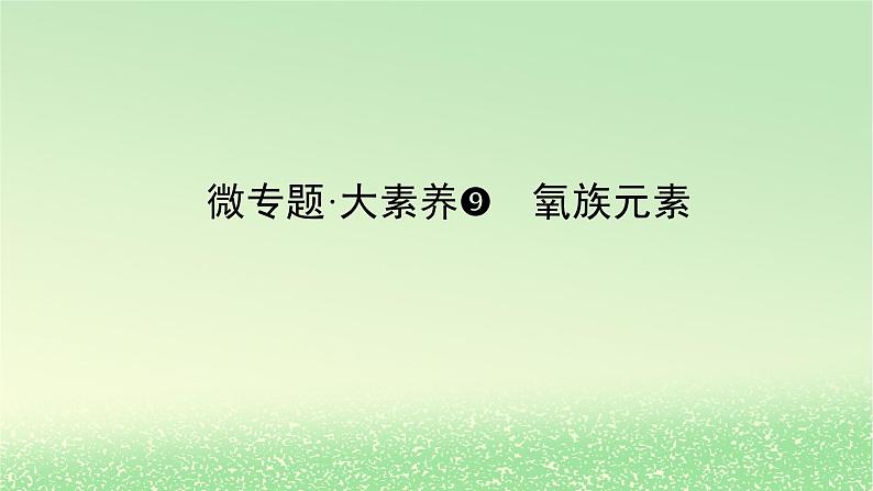 2024版新教材高考化学全程一轮总复习第四章非金属及其化合物微专题大素养9氧族元素课件01