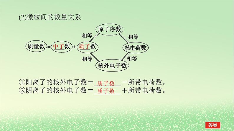 2024版新教材高考化学全程一轮总复习第五章物质结构与性质元素周期律第14讲原子结构核外电子排布课件第4页