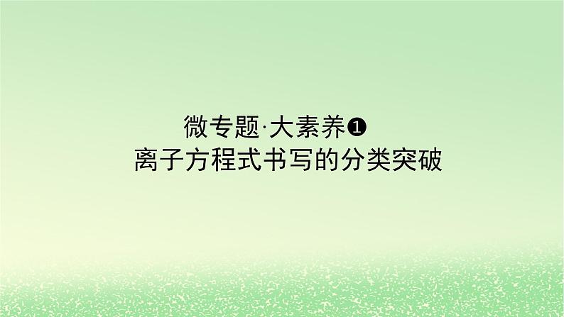 2024版新教材高考化学全程一轮总复习第一章物质及其变化微专题大素养1离子方程式书写的分类突破课件01