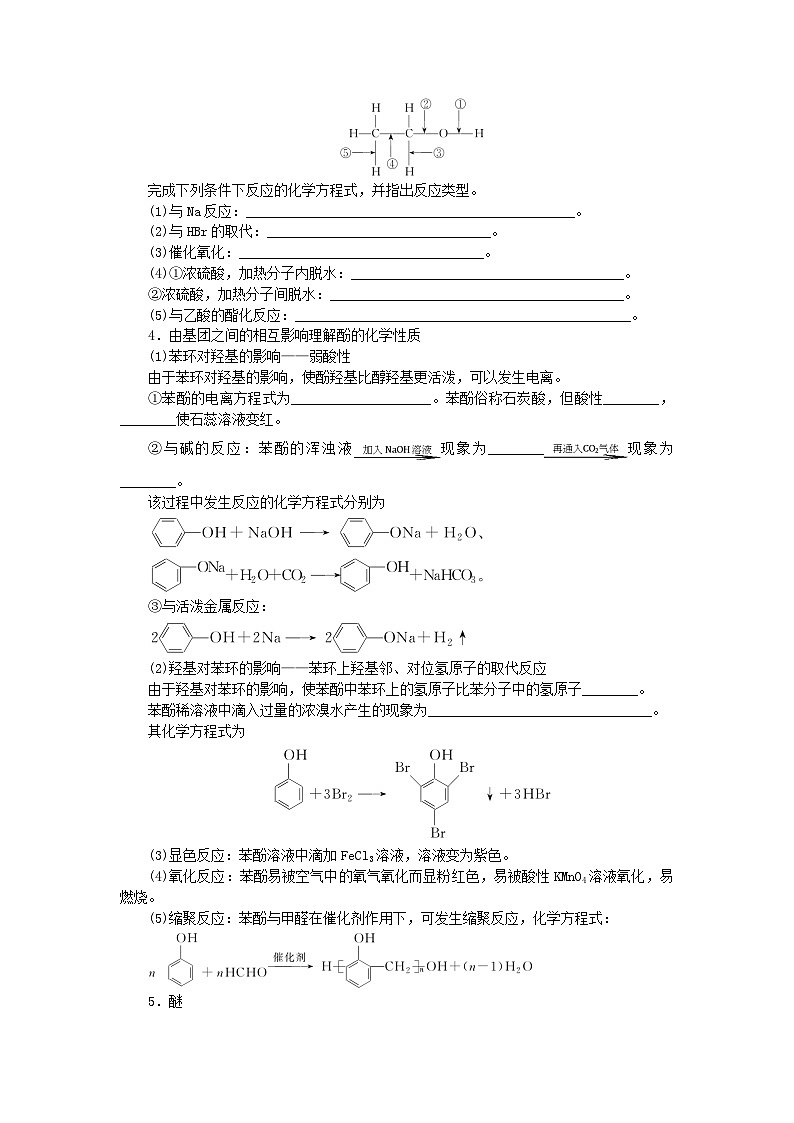 2024版新教材高考化学全程一轮总复习第九章有机化学基础第33讲烃的含氧衍生物学生用书02