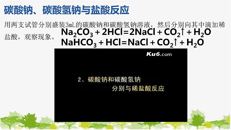 化学苏教版(2019)必修第一册 3.2.2碳酸钠碳酸氢钠课件05