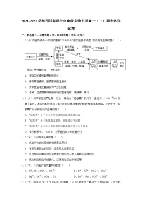 四川省遂宁中学校2021-2022学年高一上学期期中化学试卷