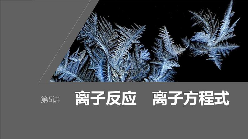 2024年高考化学一轮复习课件（鲁科版）第2章 第5讲　离子反应　离子方程式01