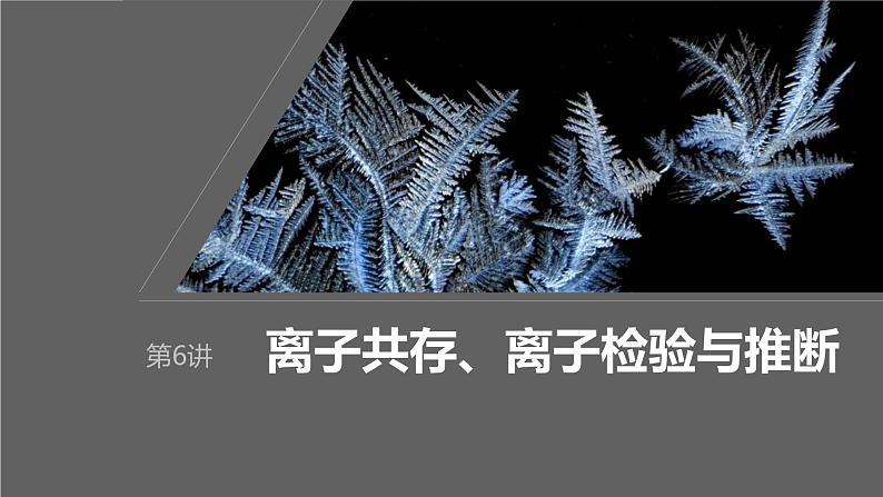 2024年高考化学一轮复习课件（鲁科版）第2章 第6讲　离子共存、离子检验与推断01