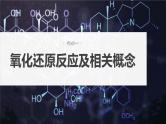 2024年高考化学一轮复习课件（鲁科版）第2章 第7讲　氧化还原反应的概念和规律
