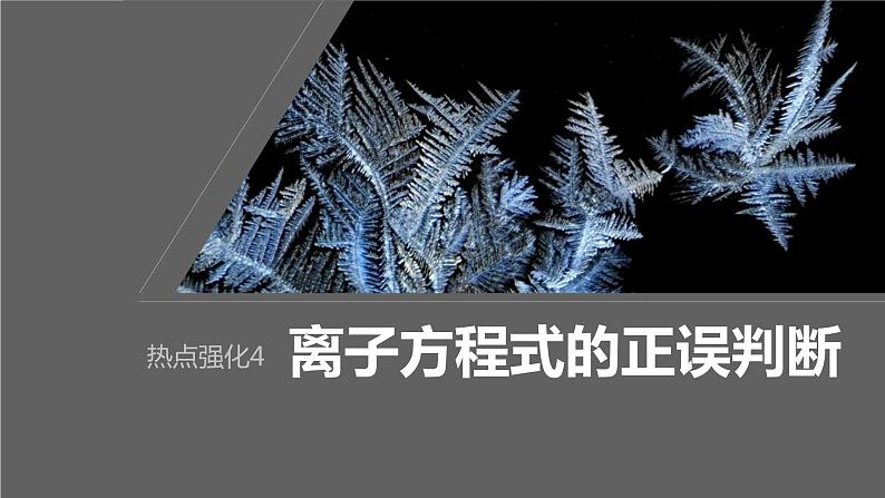 2024年高考化学一轮复习课件（鲁科版）第2章 热点强化4　离子方程式的正误判断01