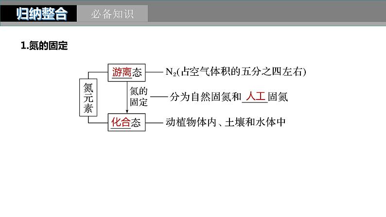 2024年高考化学一轮复习课件（鲁科版）第4章 第22讲　氮及其氧化物　硝酸05