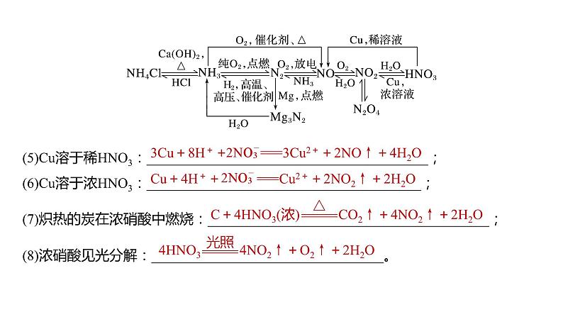 第4章 第24讲　氮及其化合物的转化关系第5页