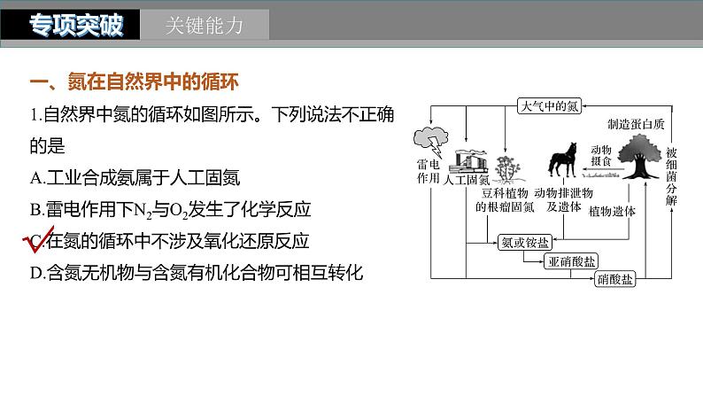 第4章 第24讲　氮及其化合物的转化关系第6页