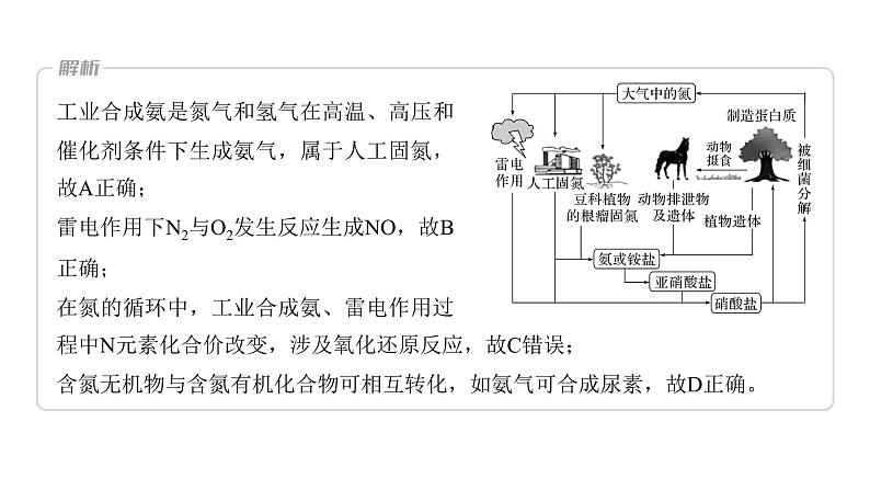 第4章 第24讲　氮及其化合物的转化关系第7页