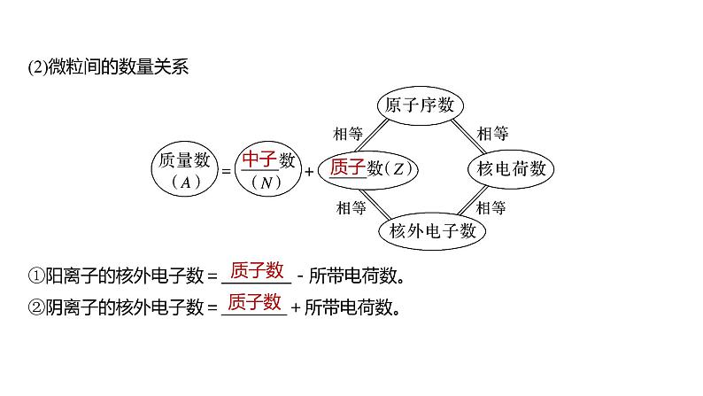 2024年高考化学一轮复习课件（鲁科版）第5章 第26讲　原子结构　核外电子排布规律06